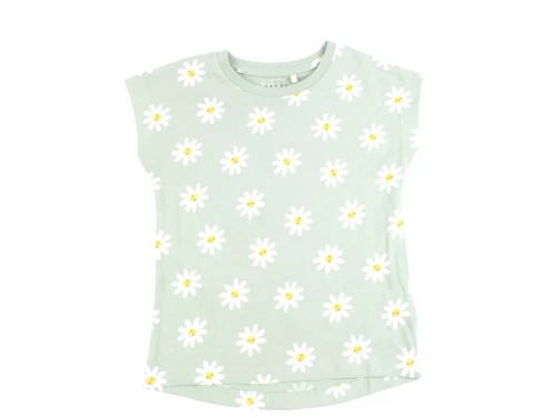 Name It silt green daisy flowers top
